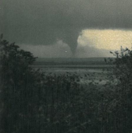 It's a Twister!